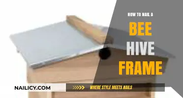 Mastering Beekeeping: Essential Tips to Perfectly Nail a Bee Hive Frame