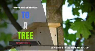 Securely Mounting Your Birdhouse: A Tree-Nailing Guide for Bird Lovers
