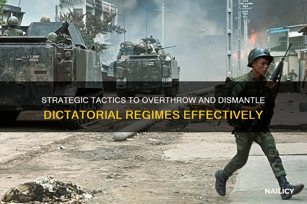 how to nail a dictator