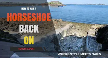 Mastering Horseshoe Repair: A Step-by-Step Guide to Reattaching with Ease