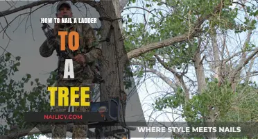 Securely Attach a Ladder to a Tree: A Step-by-Step Guide