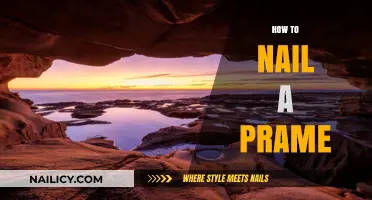 Mastering the Perfect Frame: Tips to Nail Your Shot Every Time