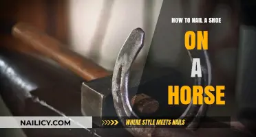 Mastering the Art of Horse Shoeing: A Step-by-Step Guide