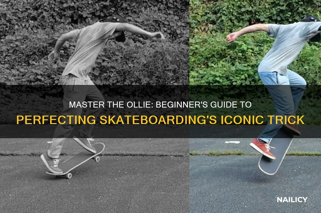 how to nail an ollie for beginners