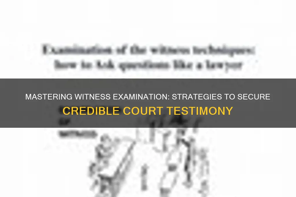 how to nail down a witness in court