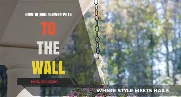 Creative Wall Gardening: Mastering the Art of Hanging Flower Pots