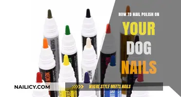 Safe and Stylish: Painting Your Dog's Nails with Nail Polish