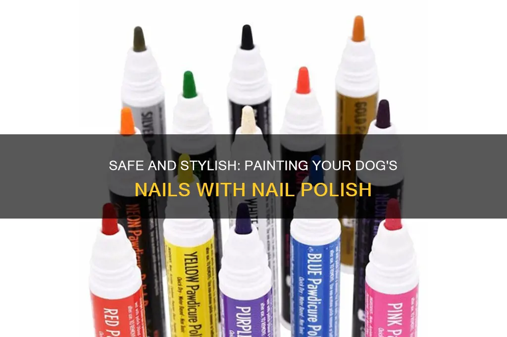 how to nail polish on your dog nails