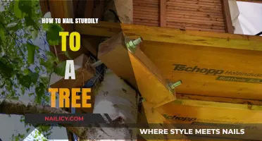 Mastering the Art of Securely Nailing to Trees: Tips and Techniques