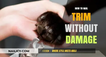 The Perfect Nail Trim: Avoiding Damage