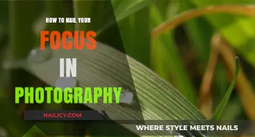 Mastering Focus in Photography: Essential Tips for Sharp, Stunning Shots