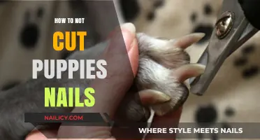 Avoid Cutting Your Pup's Nails: Try These Tips