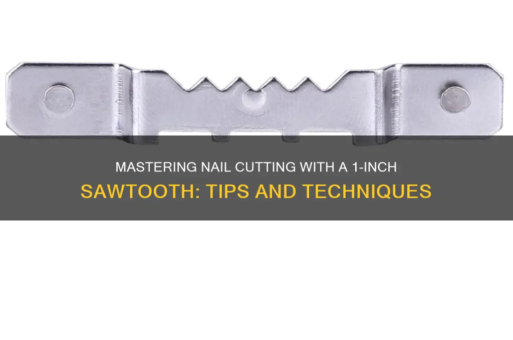how to out nails with 1 inch sawtooth