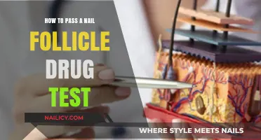 Mastering Nail Folicle Drug Tests: Proven Strategies for Success
