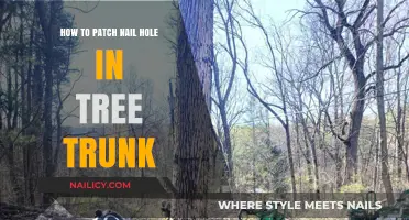 Effective Techniques to Repair Nail Holes in Tree Trunks