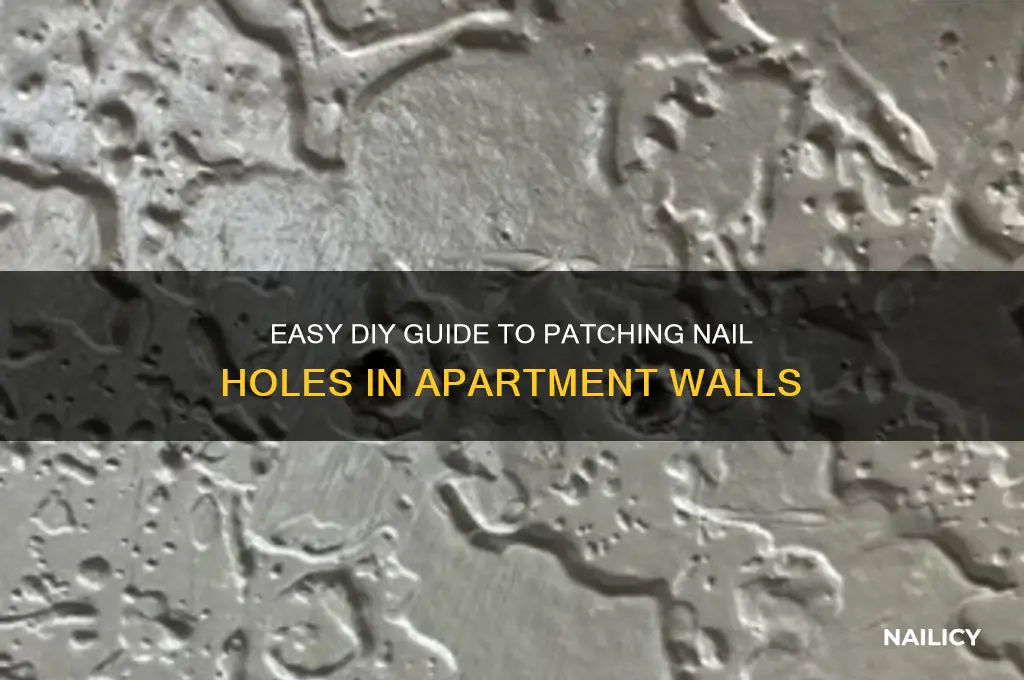 how to patch nail holes in apartment walls