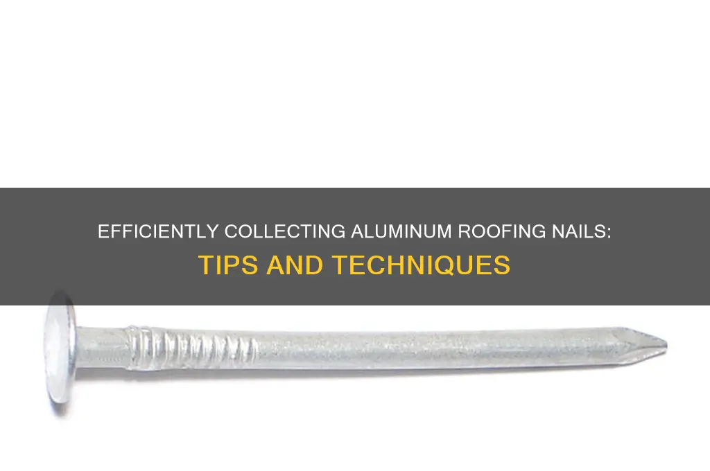 how to pick up aluminum roofing nails