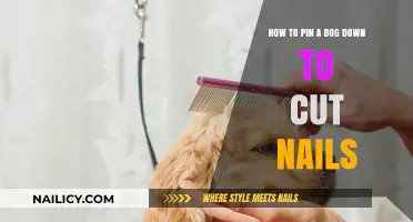 Calmly Restraining Your Dog for Nail Trims
