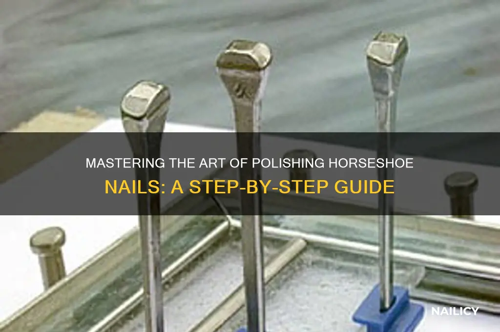 how to polish horseshoe nails