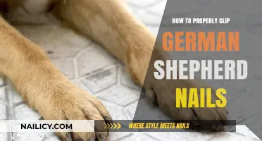 Mastering Nail Care: A Guide to Clipping German Shepherd Nails