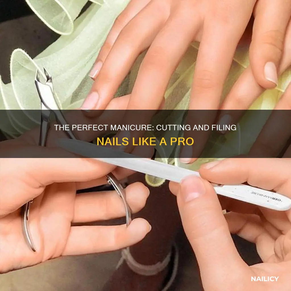 how to properly cut and file nails
