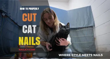 Trimming Cat Nails: A Step-by-Step Guide