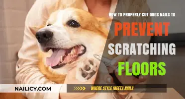 Trimming Dog Nails: Protecting Your Floors and Your Pet