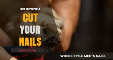 Trimming Nails: A Guide to the Perfect Clip