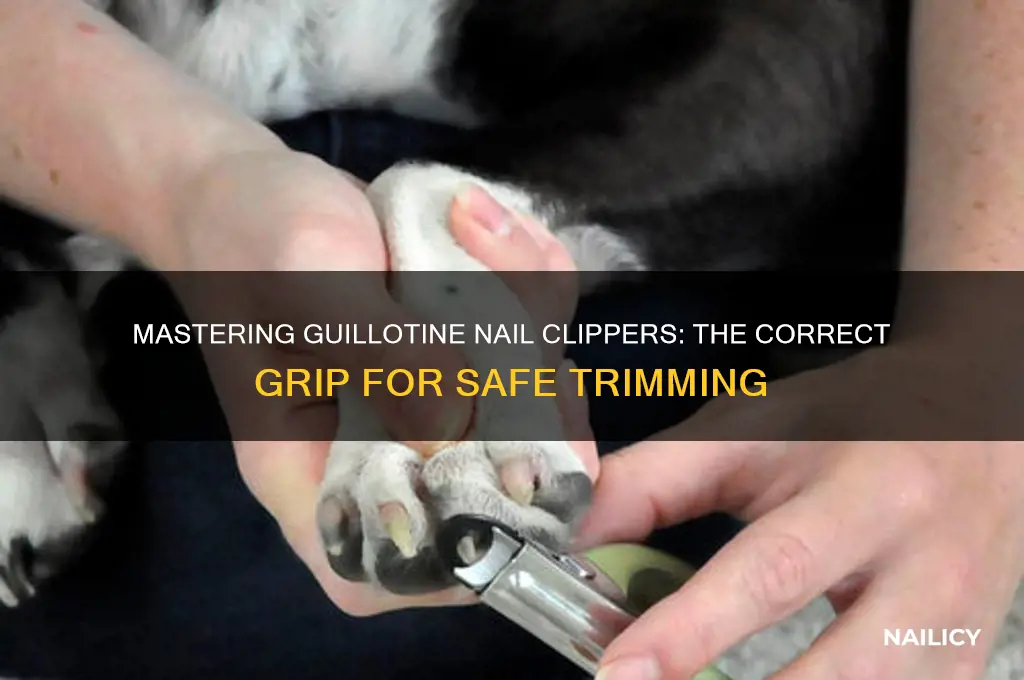 how to properly hold gullotine nail clippers