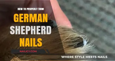 Trimming Your German Shepherd's Nails: A Step-by-Step Guide