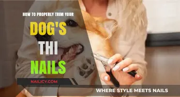 Trimming Your Dog's Thick Nails: A Step-by-Step Guide