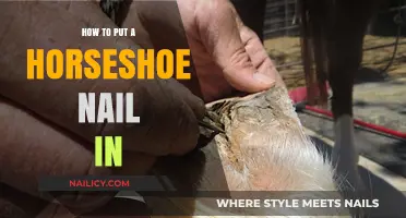 Mastering the Art of Installing a Horseshoe Nail: A Step-by-Step Guide