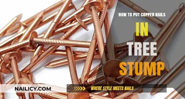 Revitalize Your Tree Stump: A Guide to Installing Copper Nails