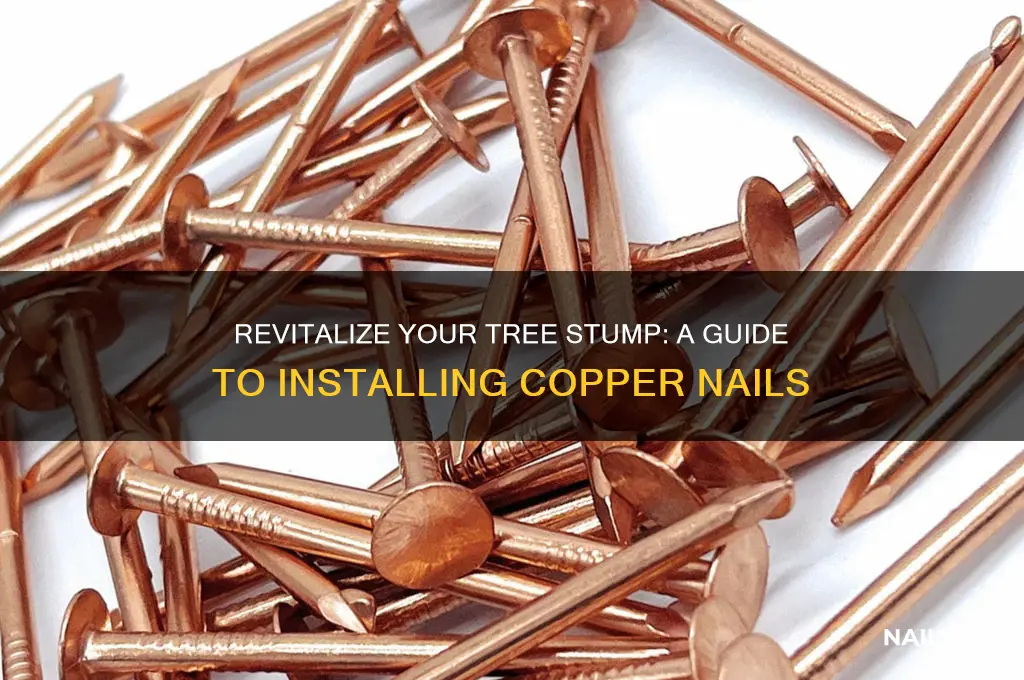 how to put copper nails in tree stump