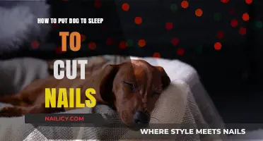 Calmly Trim Your Dog's Nails While They Sleep
