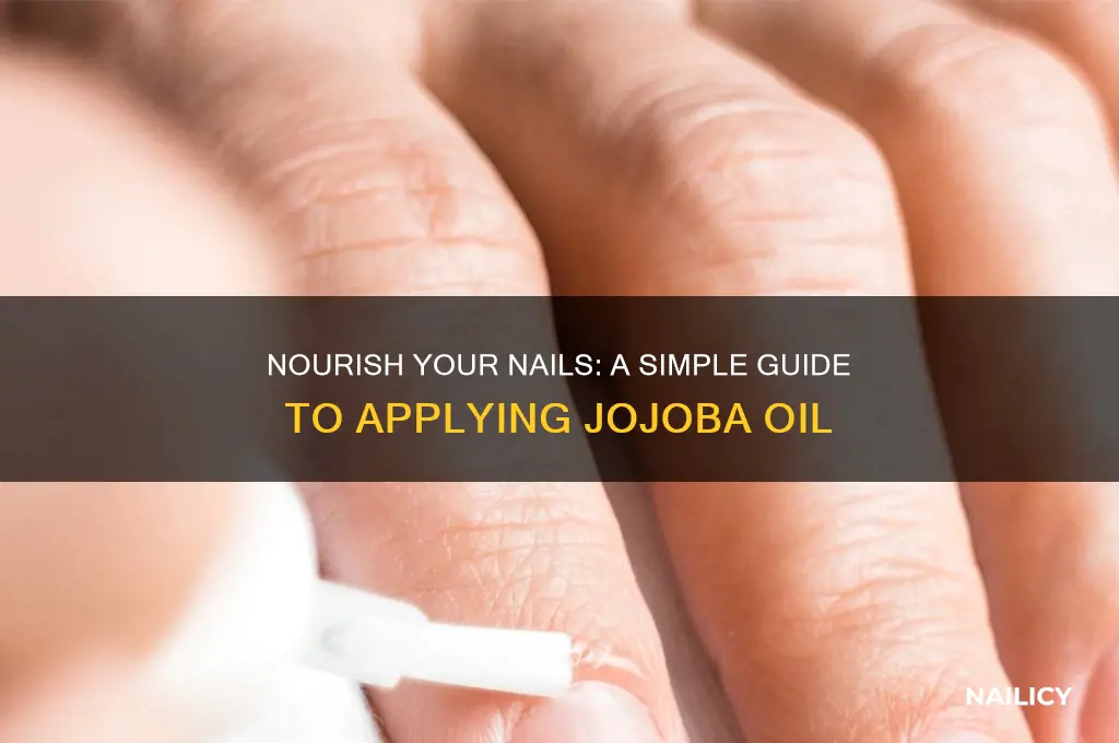 how to put jojoba oil on nails