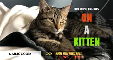Soft Paws for Kittens: A Step-by-Step Guide to Applying Nail Caps