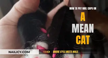 Taming the Wild: A Guide to Nail Caps for Mean Cats