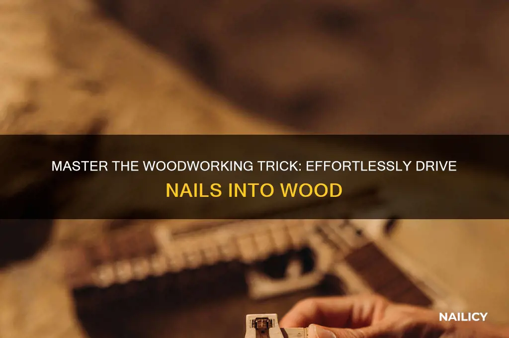 how to put the nail in wood trick