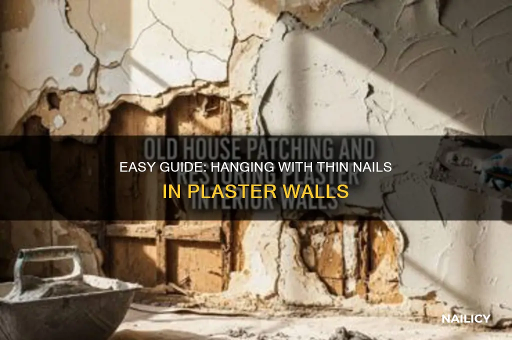 how to put thin nails in plaster walls
