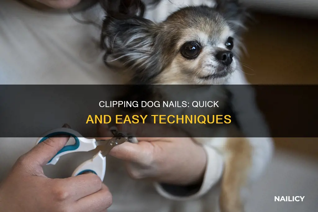 how to quickly cut dog nails