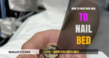 Reattaching a Nail to the Nail Bed: A Step-by-Step Guide