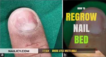 Revive Your Nail Bed: Effective Tips for Healthy Regrowth