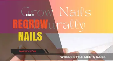 Effective Tips for Regrowing Strong, Healthy Nails Naturally at Home
