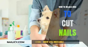 Calmly Trim Your Dog's Nails: Tips and Tricks