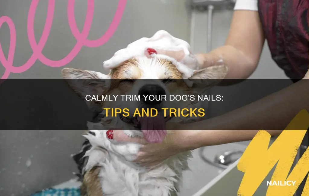 how to relax a dog to cut nails