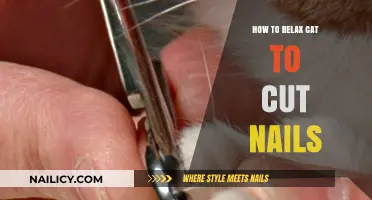 Calm Cat, Easy Nail Trimming