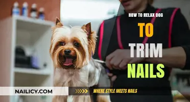 Calmly Trim Your Dog's Nails: Tips and Tricks