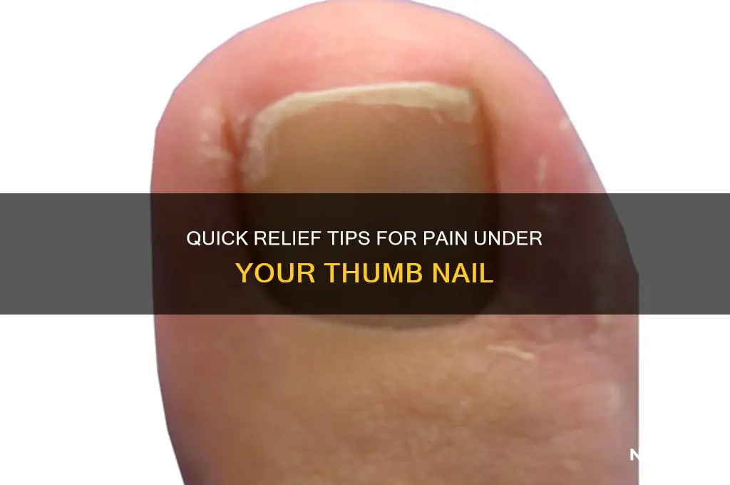 how to relieve pain under thumb nail