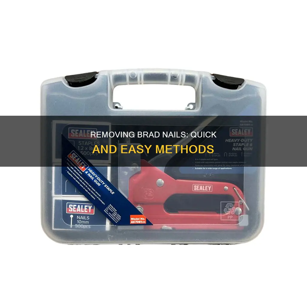 how to remove a brad nail